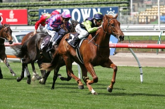 Sweet Cheeks 2009 Maribyrnong Trial Stakes Winner